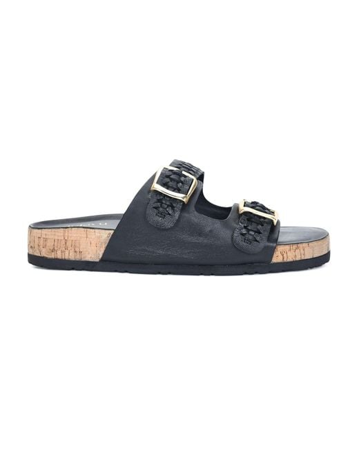 Jelavu Black Melrose
