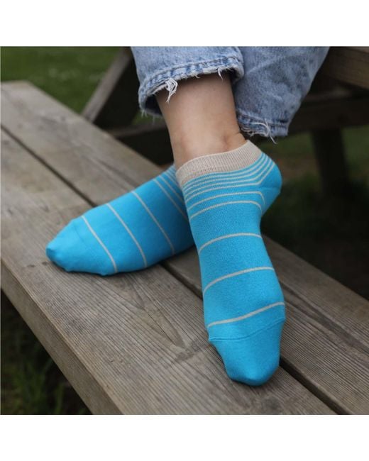 Peper Harow - Made in England Blue Retro Stripe Luxury Crew & Trainer Socks Bundle