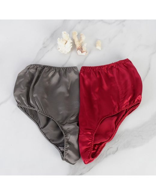 Soft Strokes Silk Red Set Of Two Pure Mulberry Silk French Cut Panties