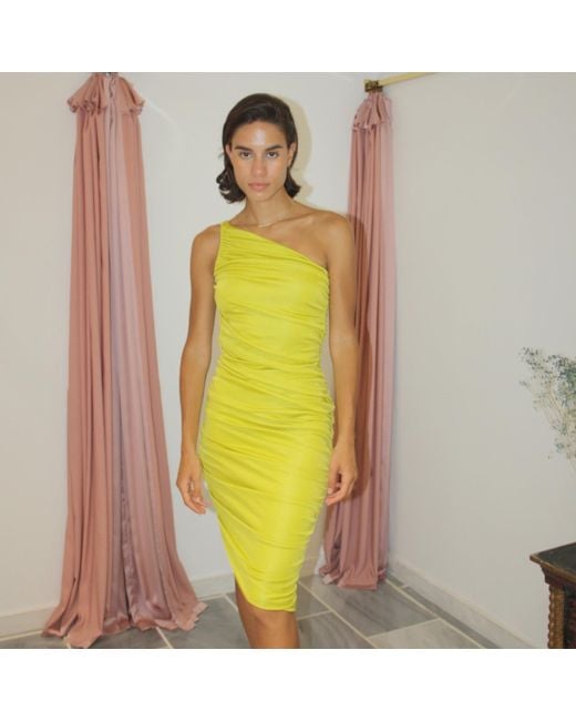 Roses Are Red Yellow Jena Dress