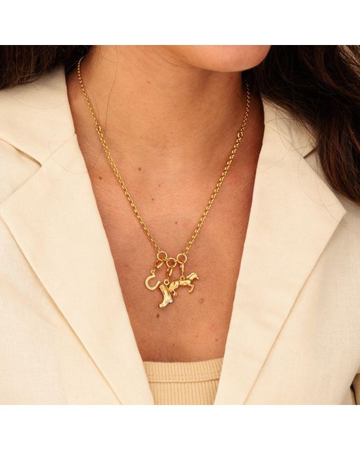 Lily Charmed Metallic Plated Trinity Charm Collector Necklace