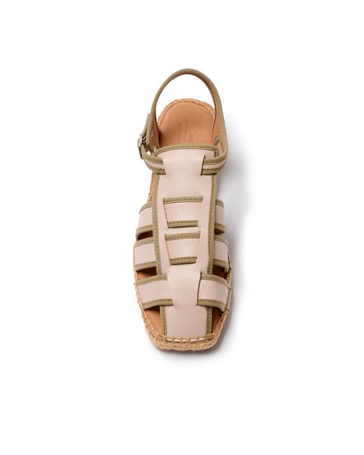 Naguisa Brown Neutrals Sativa Taupe