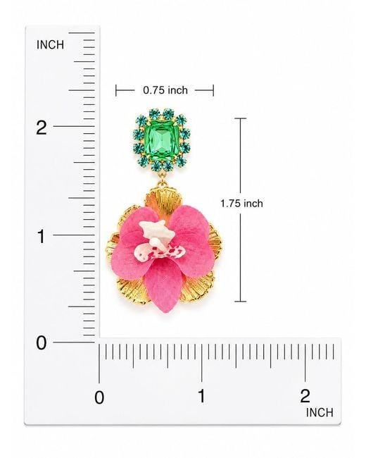 The Pink Reef Green Vanda Orchid Gem Drop
