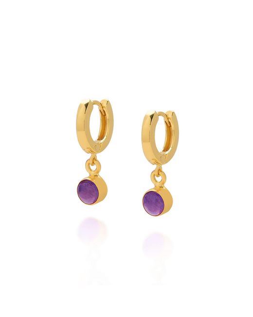 Nellou Jewellery Metallic Gem Hoop Birthstone Earrings February Plated Sterling