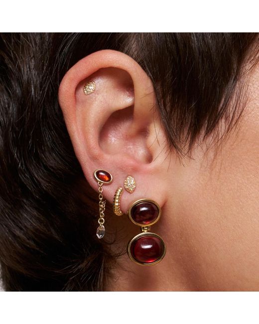 Stone Fruit Brown Pulp Duo Earrings