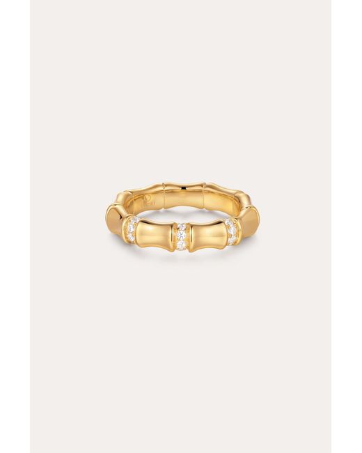 Vanhi Metallic Bamboo Chunky Crystal Ring