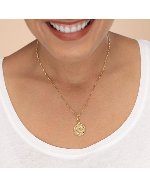 Lily Charmed Metallic Plated Pisces Zodiac Charm Necklace