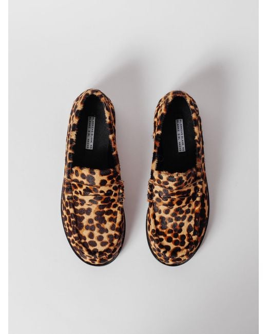 Blankens Brown The Celeste Leopard