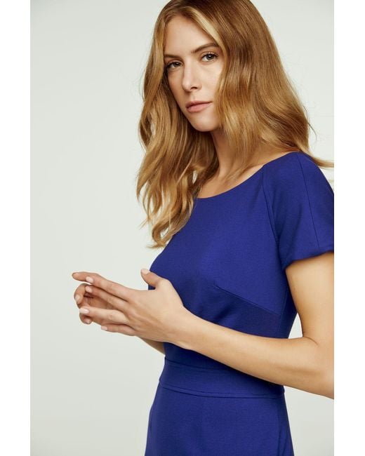 Conquista Blue Fitted Electric Cap Sleeve Dress Punto
