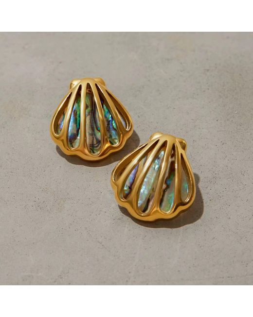 Olivia Le Metallic Seashell Framed Earrings