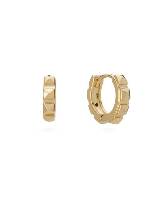 Dolcetto Designs Metallic Cestius Hoop Earring