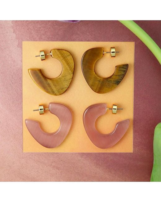 Hye Jane Jewelry Metallic Lina Tigers Eye Hoops