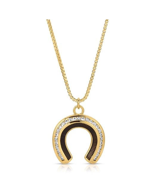 Glamrocks Jewelry Metallic Good Fortune Horseshoe Necklace