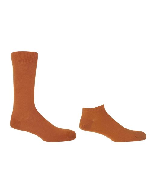 Peper Harow - Made in England Brown Classic Burnt Luxury Crew & Trainer Socks Bundle for men