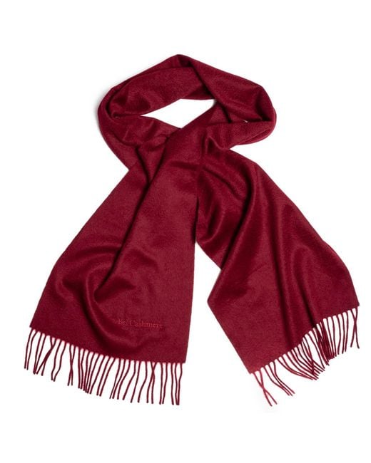 Bel Cashmere Cashmere Scarf With Fringes Burgundy in Red Lyst UK