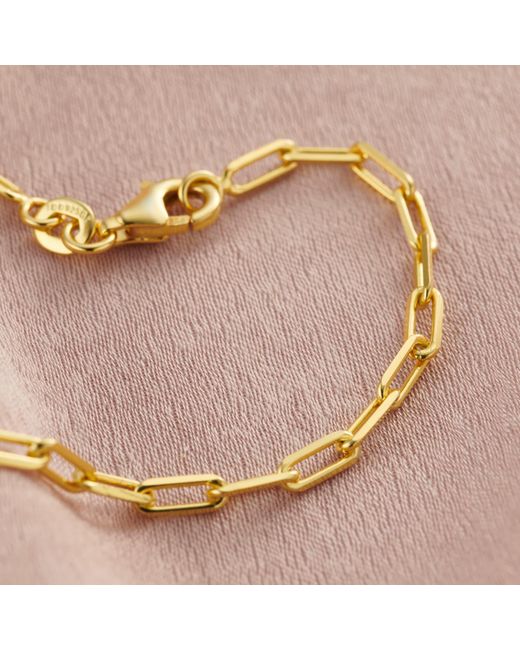 Posh Totty Designs Metallic Gold Plated Chain Link Bracelet