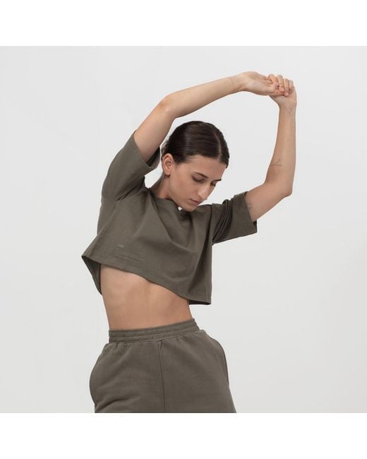 Storm Green Easy Crop Top