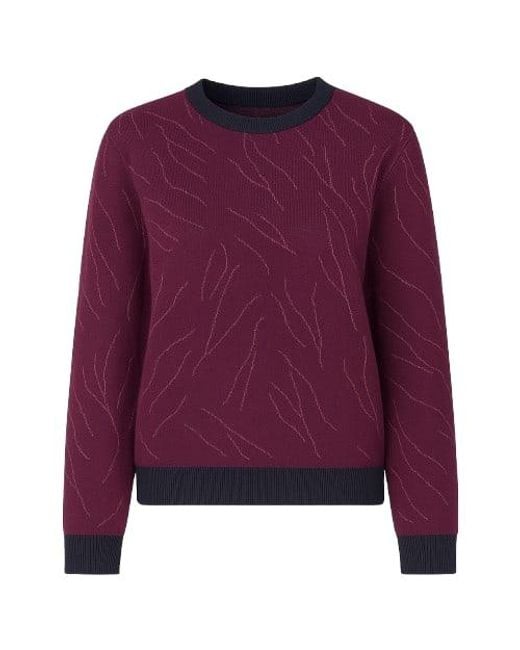 Conquista Purple Trim Detail Sweatshirt