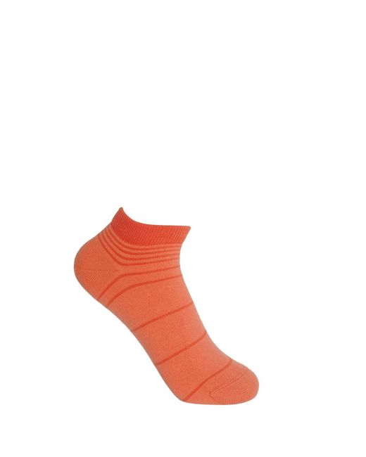 Peper Harow - Made in England Red Retro Stripe Luxury Crew & Trainer Socks Bundle