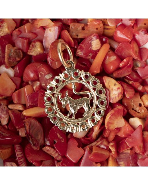 Maya Brenner Metallic Zodiac Necklace