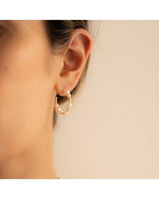 Shaded the Label Metallic Constantine Pearl Hoop Earrings