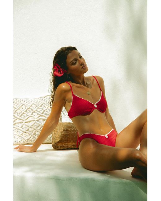 Wild Lovers Red Chilli Bikini Top