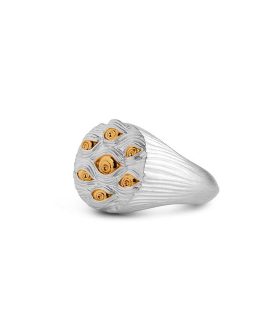 Kasun Metallic Eyes Of Many Signet Ring