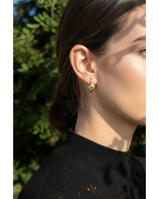 Astor & Orion Metallic Lyra Modern Hoops