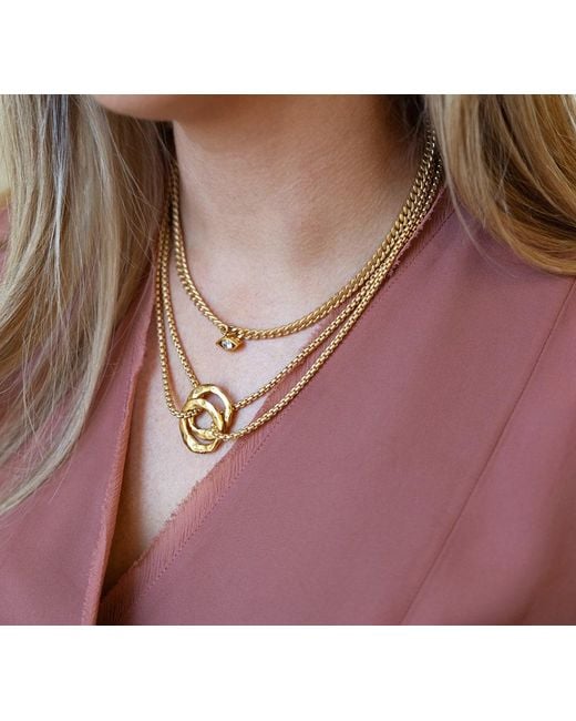 Loni Paul Jewelry Metallic Matte Double Circle Necklace