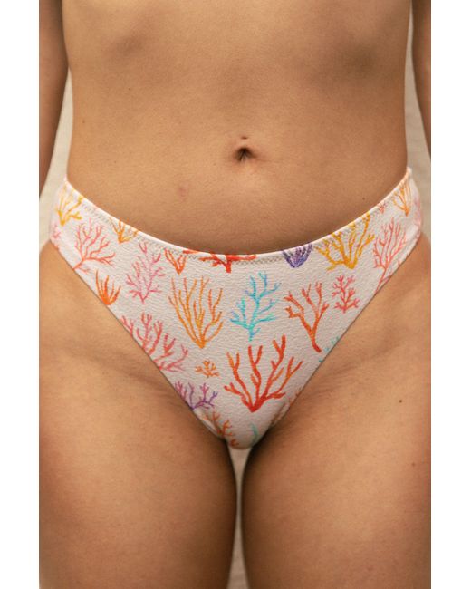 Aqva Swimwear White Coral Print Salinas Bikini Bottom