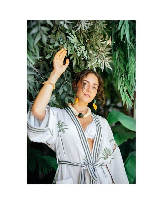 Sunset Magic Studio Green Musa Palm