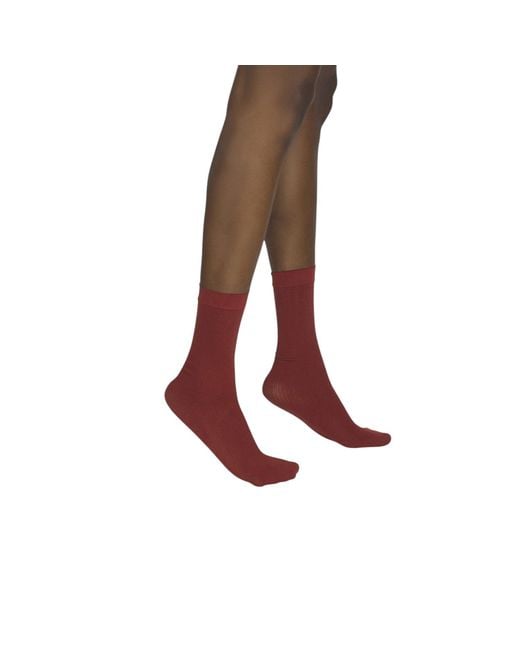 Hedoine Brown The Rib