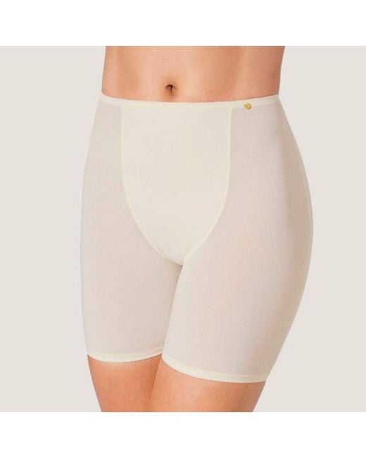Zd - Zero Defects White Neutrals Galatea Short-Leg Panties – Comfort & Thigh Protection With Soy Fiber