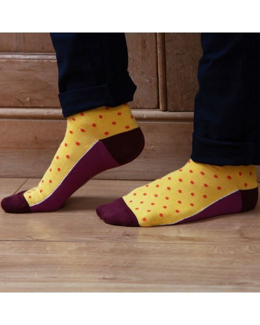 Peper Harow - Made in England Green Andover & Pin Polka Honey Socks Bundle for men