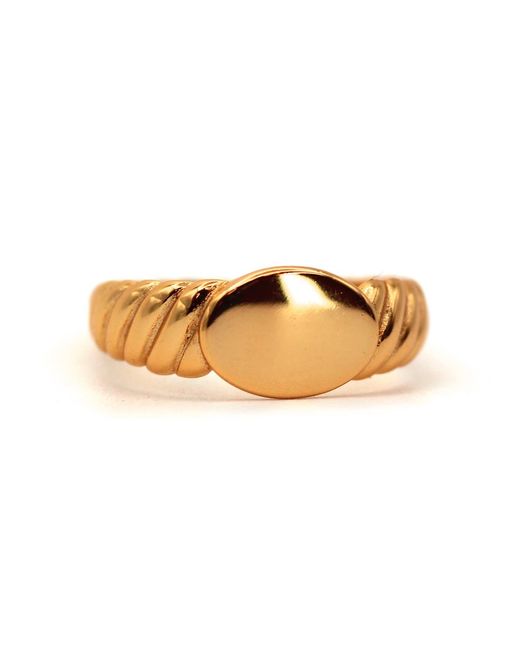 VicStoneNYC Fine Jewelry Metallic Screw Band Design Oval Signet Ring for men