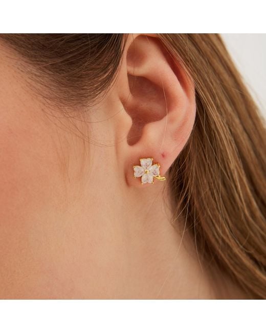 Spero London Metallic Four Leaf Clover Sterling Stud Earrings