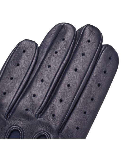 1861 Glove Manufactory Blue Hamerli Louis Driving Gloves for men