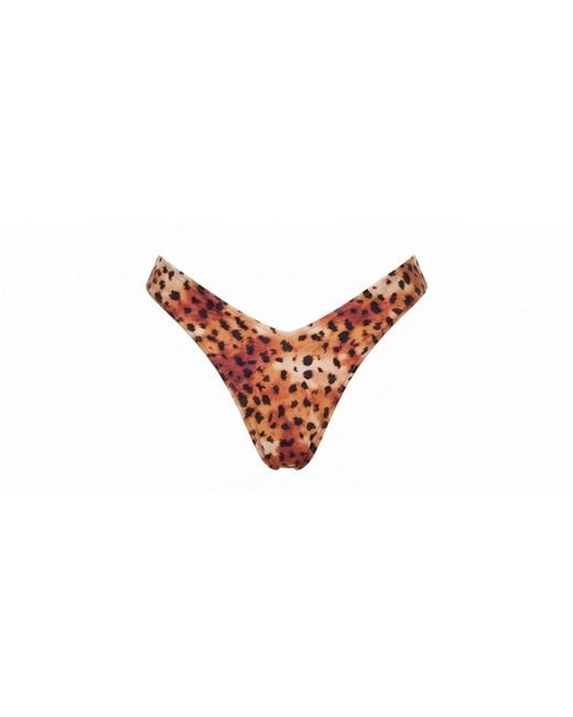 Sunkissed Multicolor Le Sporty Bottom