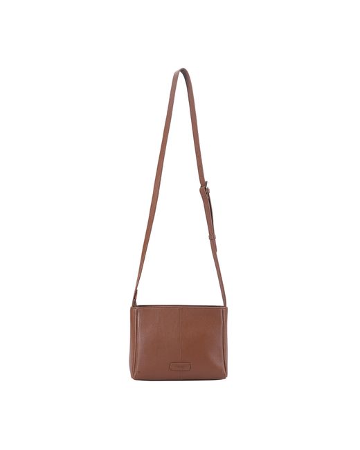 Lloyd Baker Brown Primrose