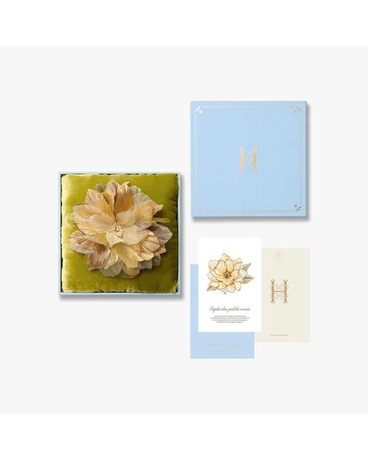 Helena Simon Metallic The Golden Poinsettia Floral Brooch