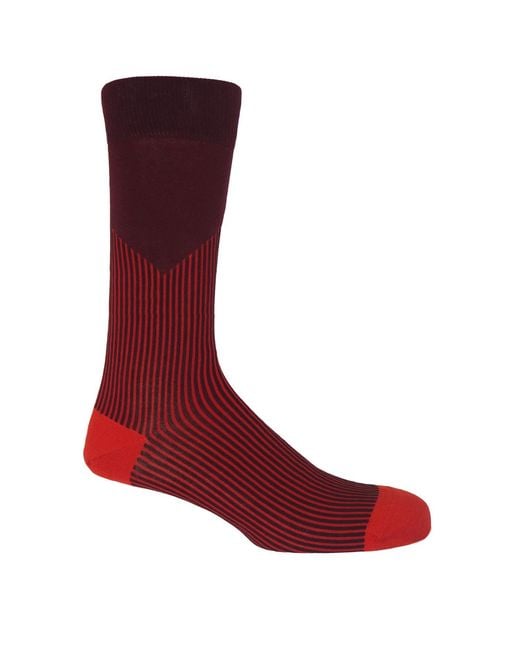 Peper Harow - Made in England Blue V-Stripe Socks – Bundle for men