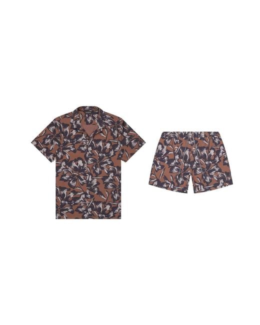 Playaluxe Brown Todos Santos Cabana Set Tobacco Flower for men