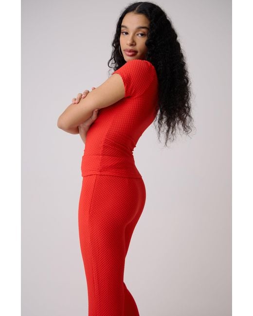 Amy Lynn Bodie Cherie Flared Trousers
