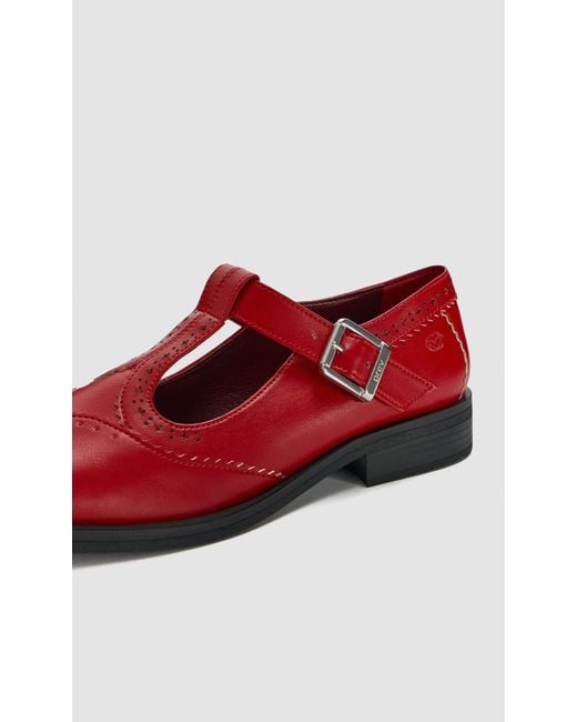 PREVU Red Rosa