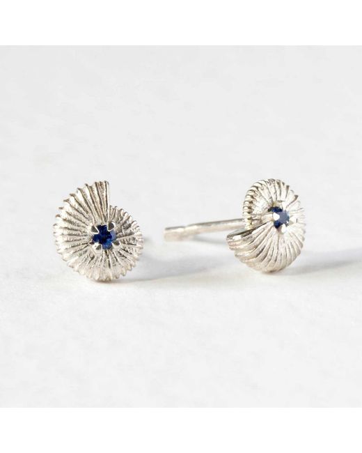 Lee Renee Blue Ammonite Sapphire Earrings