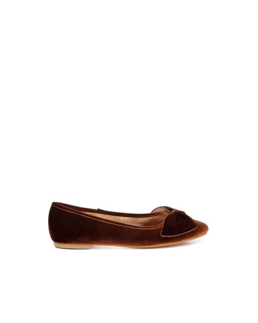 Rag & Co Brown Pothos Luxurious Velvet Bow Ballerinas