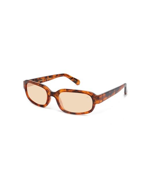A.Kjærbede Brown Neutrals Will Sunglasses Havana