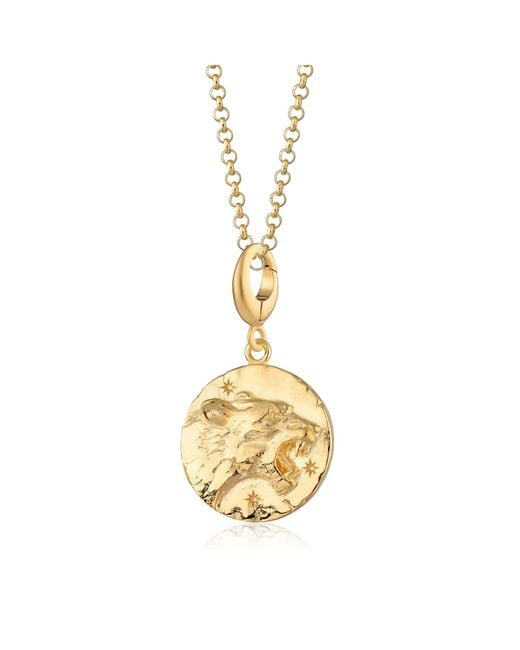 Lily Charmed Metallic Plated Leo Zodiac Charm Necklace