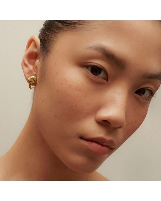 EVA REMENYI Metallic Euphoria Elephant Earrings