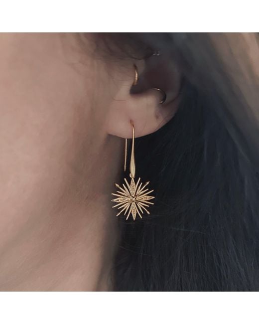 IN CAUDA VENENUM Metallic Hoshi Earrings